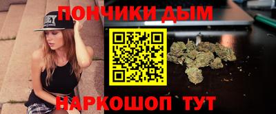 гидропоника Камышлов