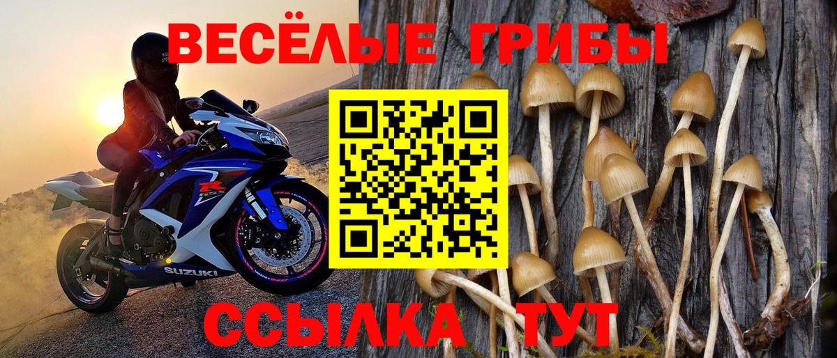 Псилоцибиновые грибы MAGIC MUSHROOMS  Вход с VPN  Псилоцибиновые грибы Cubensis  Реутов 
