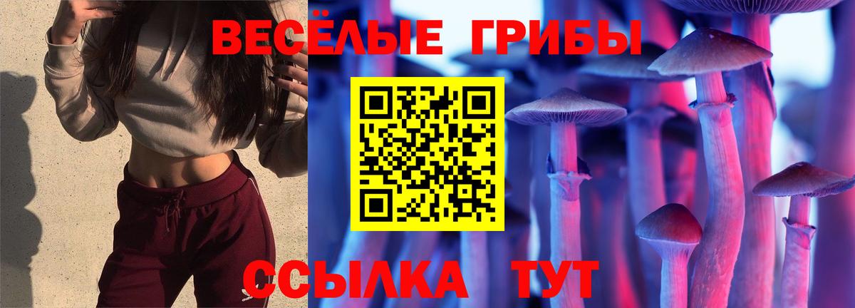 МЕТ  Мефедрон   Мефедрон  Реутов  Вход с VPN  ГАШ  Конопля  Как найти закладки?  КОКАИН 